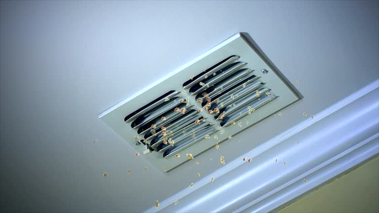 Best HVAC Air Duct Cleaning  in Rollingwood, CA